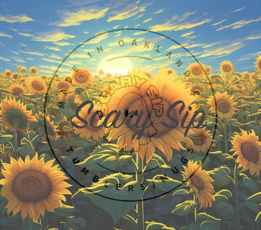 SUN FLOWER